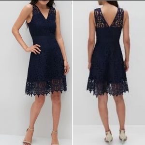 Banana Republic Lace Fit & Flare Dress